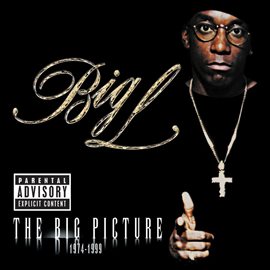 Imagen de portada para The Big Picture