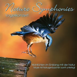 Cover image for Nature Symphonies: Vogelkonzert
