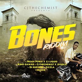 Cover image for Bones Riddim