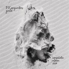 Cover image for Px Songwriters Guild Compilatie Album 2024 (live)