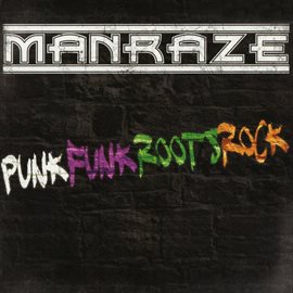 Imagen de portada para Punkfunkrootsrock