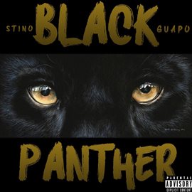 Cover image for Black Panther