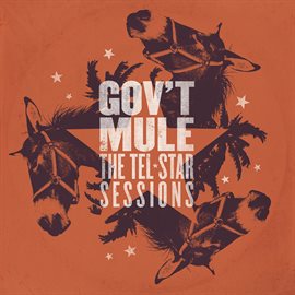Imagen de portada para The Tel-star Sessions