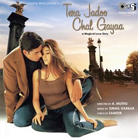Cover image for Tera Jadoo Chal Gayaa (Original Motion Picture Soundtrack)