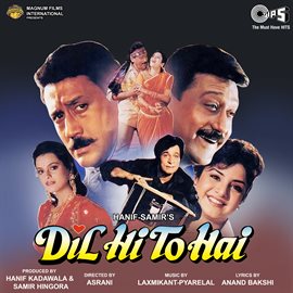 Cover image for Dil Hi To Hai (Original Motion Picture Soundtrack)