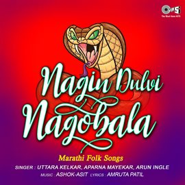 Cover image for Nagin Dulvi Nagobala