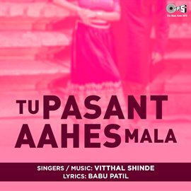 Cover image for Tu Pasant Aahes Mala