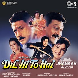 Cover image for Dil Hi To Hai (Jhankar) [Original Motion Picture Soundtrack]