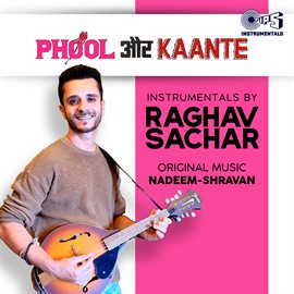 Phool Aur Kaante (instrumental)