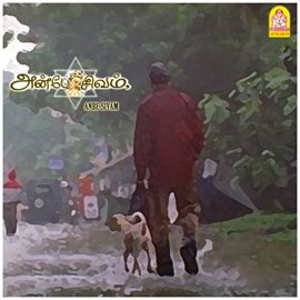 Cover image for Anbe Sivam (Original Motion Picture Soundtrack)