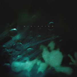 Imagen de portada para inside a quiet mind