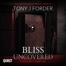Cover image for Bliss Uncovered