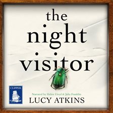 Cover image for The Night Visitor