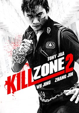 Cover image for Kill Zone 2