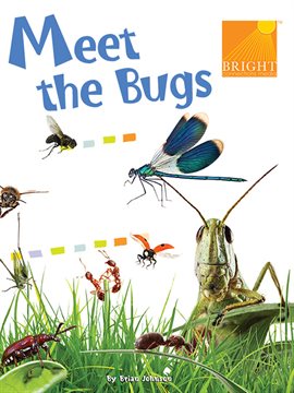 Cover image for Meet the Bugs