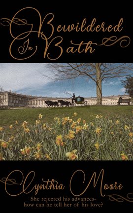 Cover image for Bewildered in Bath