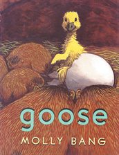 Cover image for Goose