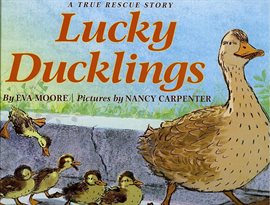 Cover image for Lucky Ducklings