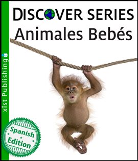 Cover image for Animales Bebés / Baby Animals