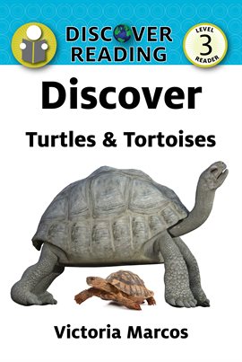 Imagen de portada para Discover Turtles & Tortoises