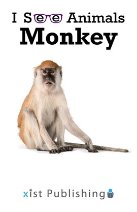 Cover image for Monkey
