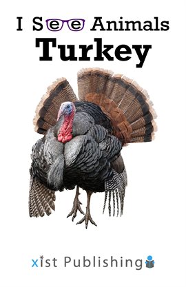 Cover image for Turkey