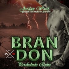 Imagen de portada para Brandon: Prickelnde Ruhe, Band 3