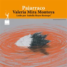 Cover image for Pajarraco