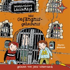 Cover image for Das Gefängnisgeheimnis