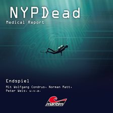Imagen de portada para Endspiel
