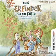 Cover image for Zwei Erfinder für alle Fälle - Von Törtchenkanonen und Gespensterfallen