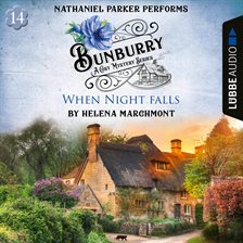 Imagen de portada para When Night falls