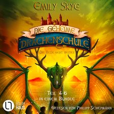 Die geheime Drachenschule - Die Reise geht weiter