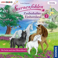 Die Suche Nach Dem Elfenschlüssel