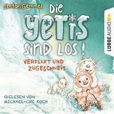 Cover image for Verflixt und zugeschneit