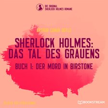 Cover image for Der Mord in Birstone